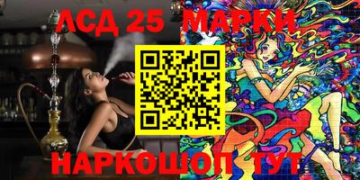 стафф Донецк