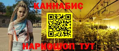 шишки Тверь