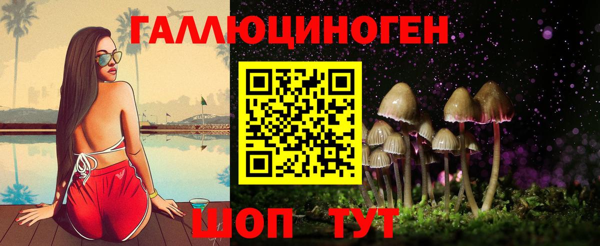 Людиново  Галлюциногенные грибы Psilocybe  Вход с VPN 
